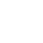 Consulting Services